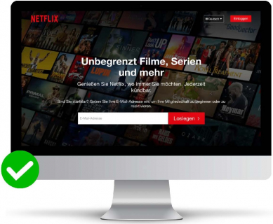 Netflix als Beispiel einer gelungenen Landing-Page